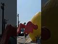 黃色小鴨緩緩地進了高雄港... Giant Yellow Rubber Duck swam into Kaohsiung Port／2024高雄燈會