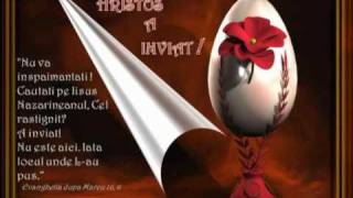 PASTE FERICIT de la I.T.G. - GRUPUL FIRMELOR DE PAZA.mpg