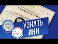 Как узнать ИНН в интернете? Ищем ИНН на сайте Госуслуги без паспорта и на сайте ФНС с паспортом