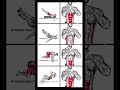 “Home ABS Workout 🔥 Best Exercises for Lower & Upper Abs” YouTube shorts😈