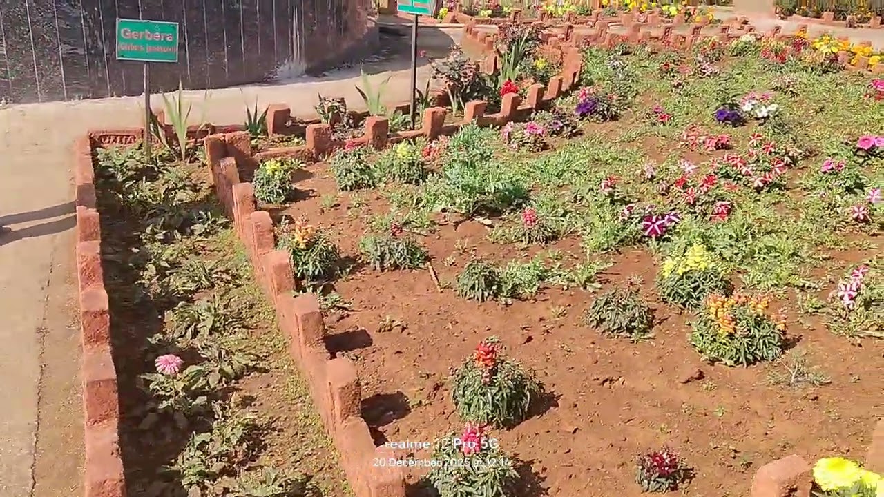 Excursion visit to Netarhat Residential School 