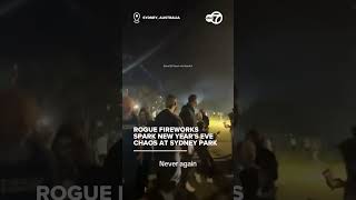 Rogue fireworks spark New Year's Eve chaos at Sydney park