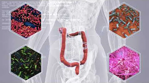 The Gut-Brain Connection: A healthy gut = a healthy brain