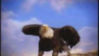 Magic Eagles screenshot 4