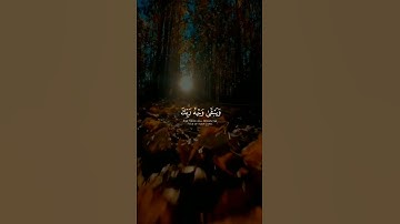 (كل من عليها فان) القارئ بند آل يسر - سورة الرحمن