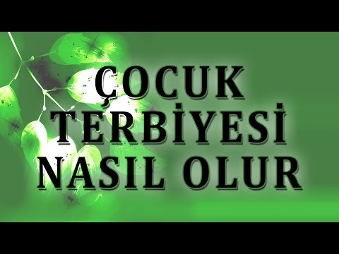 Video: Çocuklarımıza Ne Verebiliriz