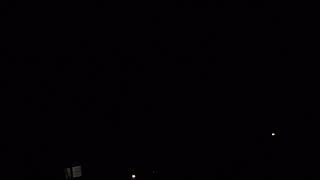 4 Great Horned Owls calling