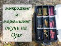 микроджиг и мормышинг - окунь на Ojas