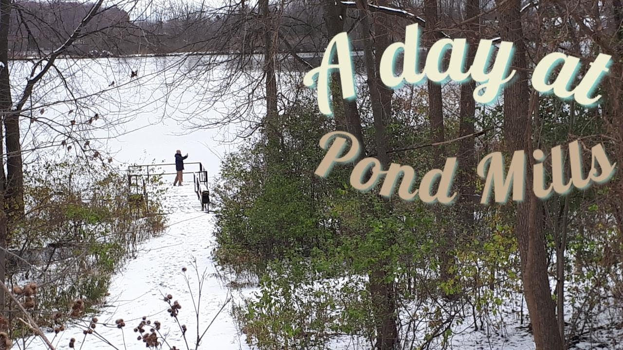 A Day At Pond Mills YouTube