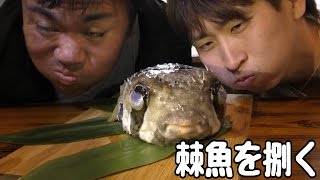 ハリセンボンを捌いて最高なスープを作ってみた【きまぐれクック✖ハイサイ】