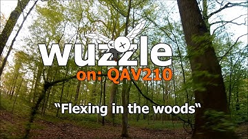 wuzzle on:QAV210 - flexing in the woods