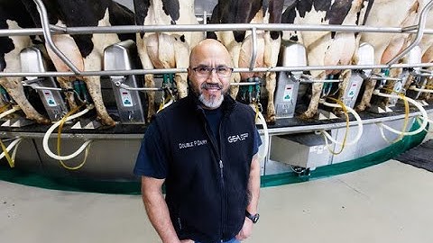 Why we chose a rotary parlor: The Double P Dairy story