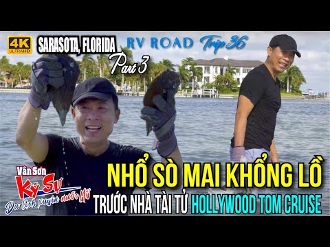 Video VAN SON ???? NHỔ SÒ MAI KHỔNG LỒ TRƯỚC NHÀ TÀI TỬ... - youtube