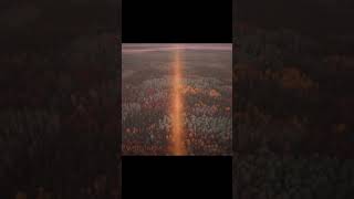 HBT.4MNG & Zamora - Everlong (Remix)