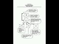 Quadrilaterals Mind Map | Class 9 Maths 📐