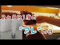 【マメにやってます】２ヶ月に１度のお掃除ルーティン【田舎生活のVlog】#19