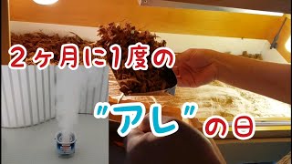【マメにやってます】２ヶ月に１度のお掃除ルーティン【田舎生活のVlog】#19