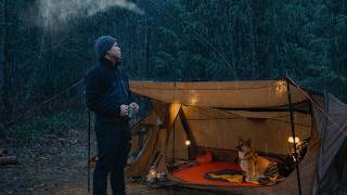 Rain Camping with My Dog - Cozy Baker Tent &amp; Wood Stove Setup