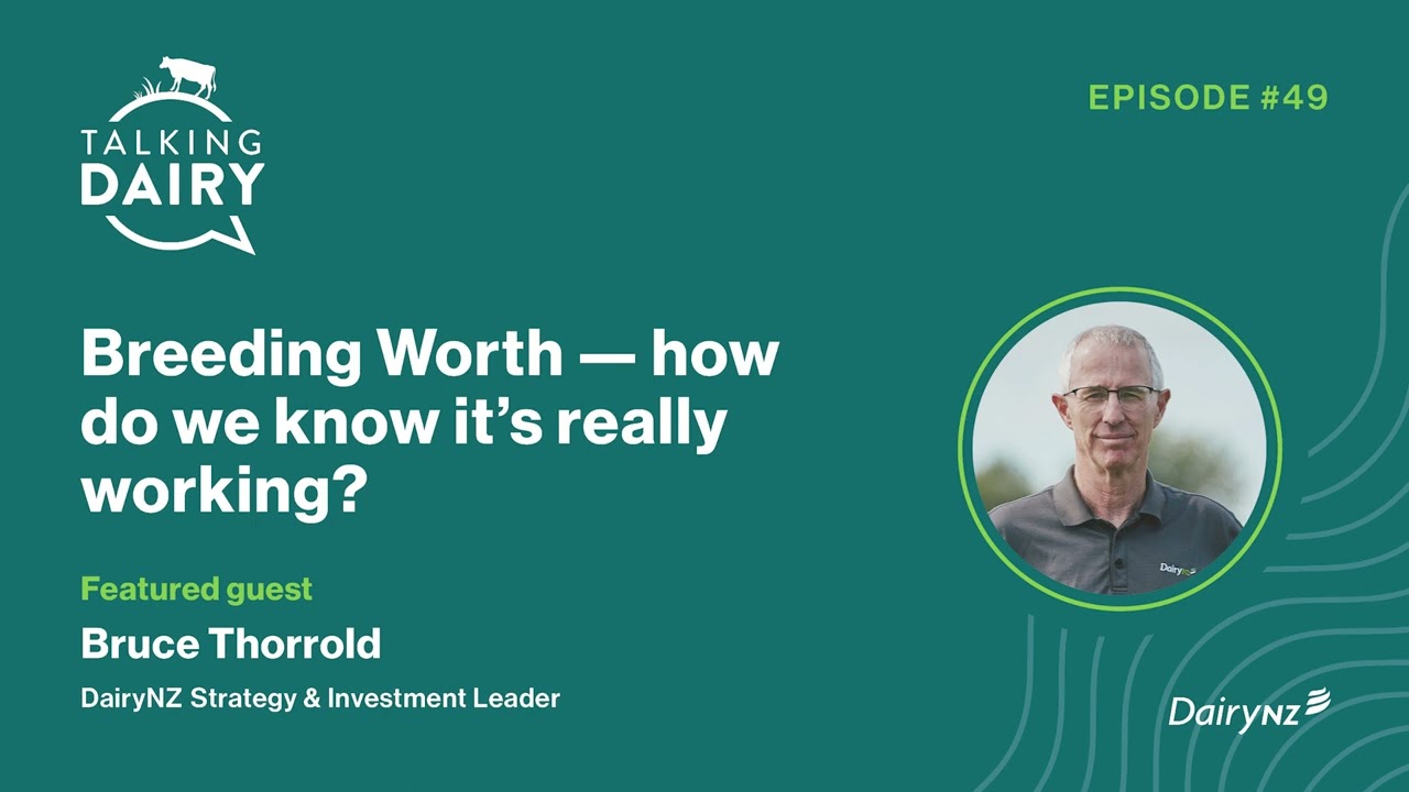 Talking Dairy: Breeding Worth – how do we know it’s really working? | Ep. 49