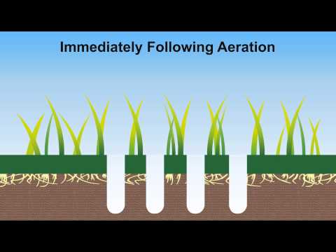 benefits of aeration