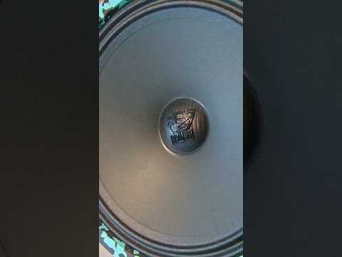 Эстрадные динамики Raven 200 v3 #dlaudio