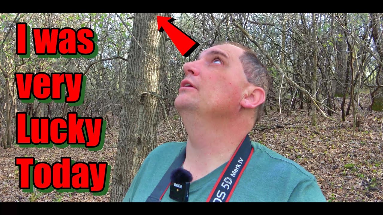 I was very Lucky Today Outdoor Adventure By Rudi Vlog