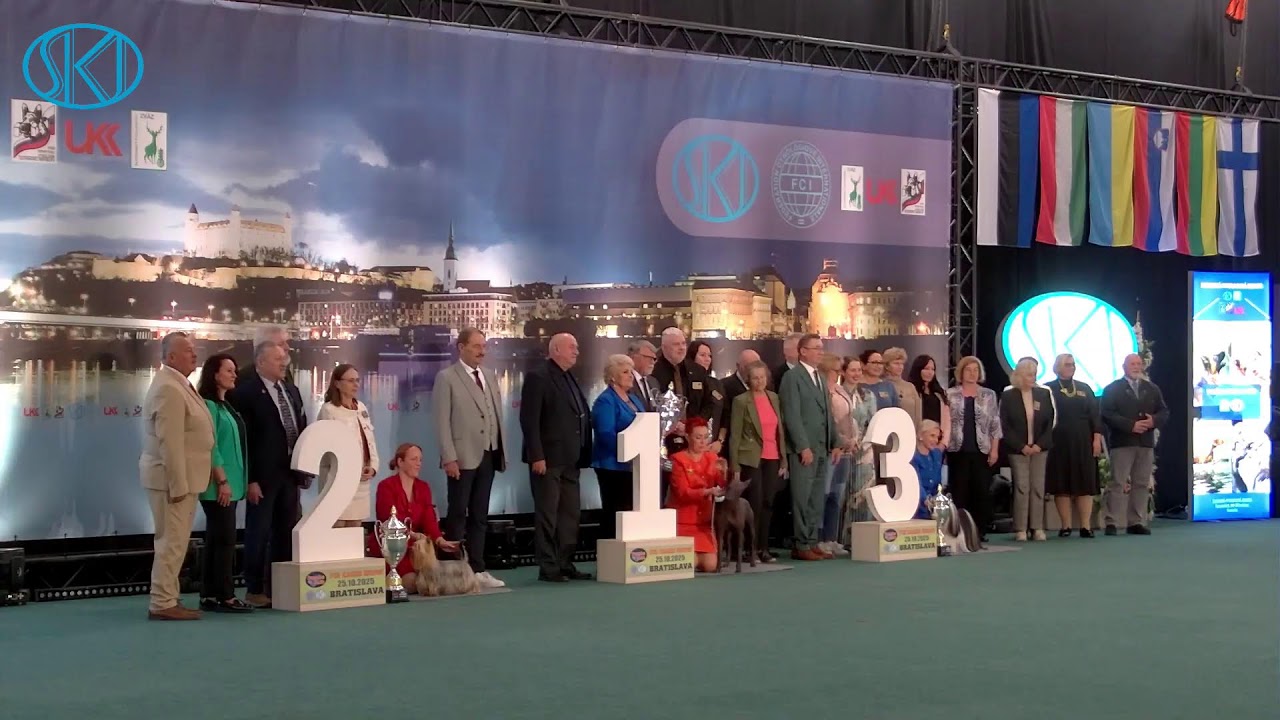 Danube Cacib Bratislava - 25.10.2025 - Sobota