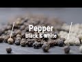 🔵 All About White Pepper & Black Pepper