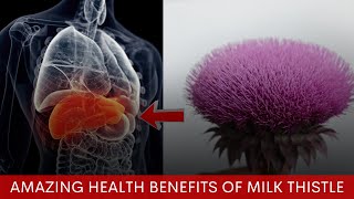 The Amazing Health Benefits of Milk Thistle - Power house for the Liver