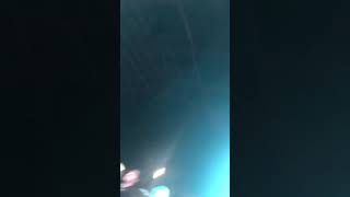 Battle Bogs Wet T-Shirt Contest