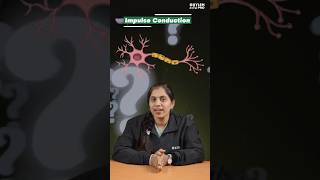 ✨️Quick Bite | Myelinated Neurons🧬 Mechanisms Made Easier | Zoology | XYLEM NEET PRO TAMIL
