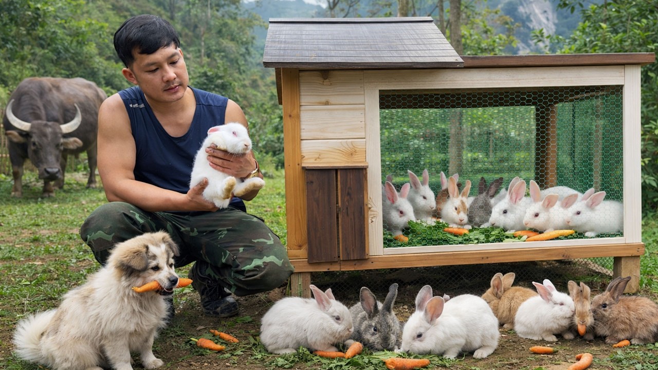 Building a Beautiful Rabbit House | My Rabbit Farm in the Forest