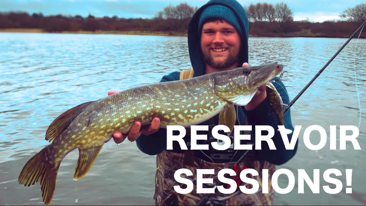 Reservoir Pike sessions! Put in the work and catch more fish! UK Lure
