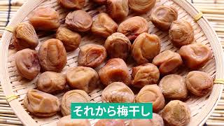 ③92歳元気！永山久夫先生（食文化史研究家／長寿食研究家）セルフ