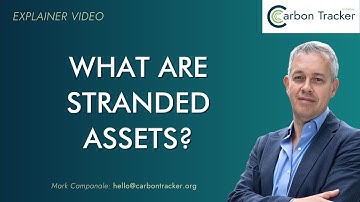 What Are Stranded Assets & Why Should We Care About Them? | CTI Explainer