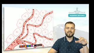 Максим Андреюк. Природное здоровье. Капиллярное кровообращение.