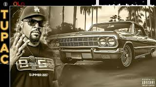 OLD SCHOOL HIP HOP MIX 2024 - Ice Cube, Snoop Dogg, Dr Dre, Eminem, 50 Cent ☠️ Best Rap MIX