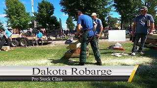 Stock Chainsaw Racing awesome skills #viral #race #chainsaw
