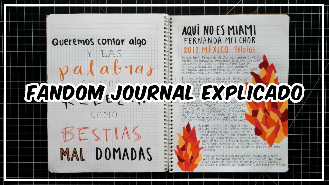 Diario de Lecturas - cómo hago mis reseñas / Fandom Journal