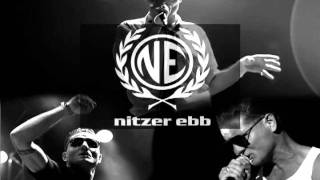 Nitzer Ebb ~ I Give To You (Pestilence Remix)