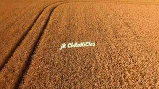 Python Eats 7Lb Chicken