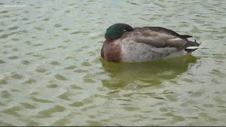 The reflecting pool is undergoing some much-needed spring cleaning | It's A DC Thing