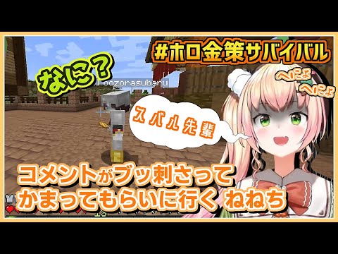 桃鈴ねね/大空スバル|コメントが刺さり街をさまよう ねねち【ホロライブ/#ホロ金策サバイバル/ホロライブ切り抜き/切り抜き/clip】