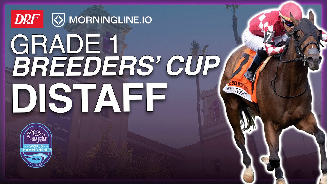 Прялка для Кубка заводчиков 1-го класса | 1 ноября 2025 г.