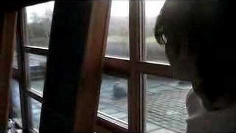 Disco Ensemble Studio Diary part 5