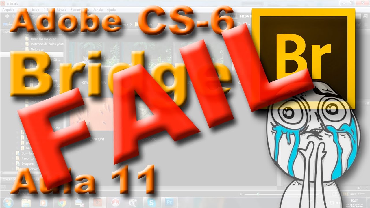 Camera RAW do Adobe Bridge CS6 PAROU de funcionar...agora expira junto ...