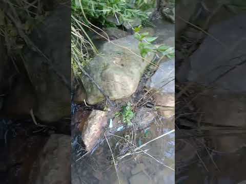 Mus Instru Comp Par Kamal Si Mohammed 