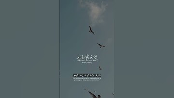 القارئ محمد الغزالي سورة (يوسف)