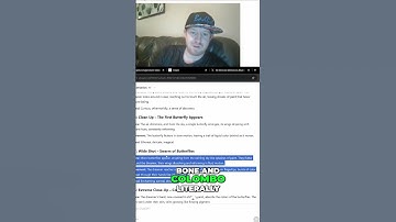 AI Art: Butterfly Dreams - Magical Video Generator