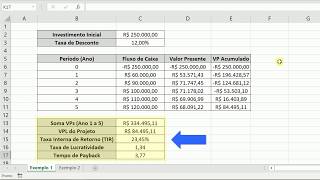 Cálculo do VPL, TIR, Lucratividade e Payback no Excel - Planilha Automatizada screenshot 3